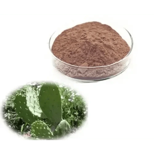 Opuntia Ficus-Indica (Prickly Pear) Extract Powder - Bulk Supplier India