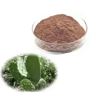 Opuntia Ficus-Indica (Prickly Pear) Extract Powder - Bulk Supplier India