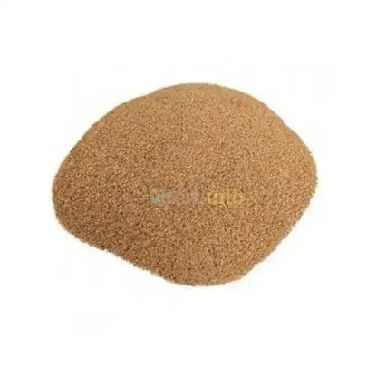 Opuntia Ficus-Indica (Prickly Pear) Extract Powder - Bulk Supplier India