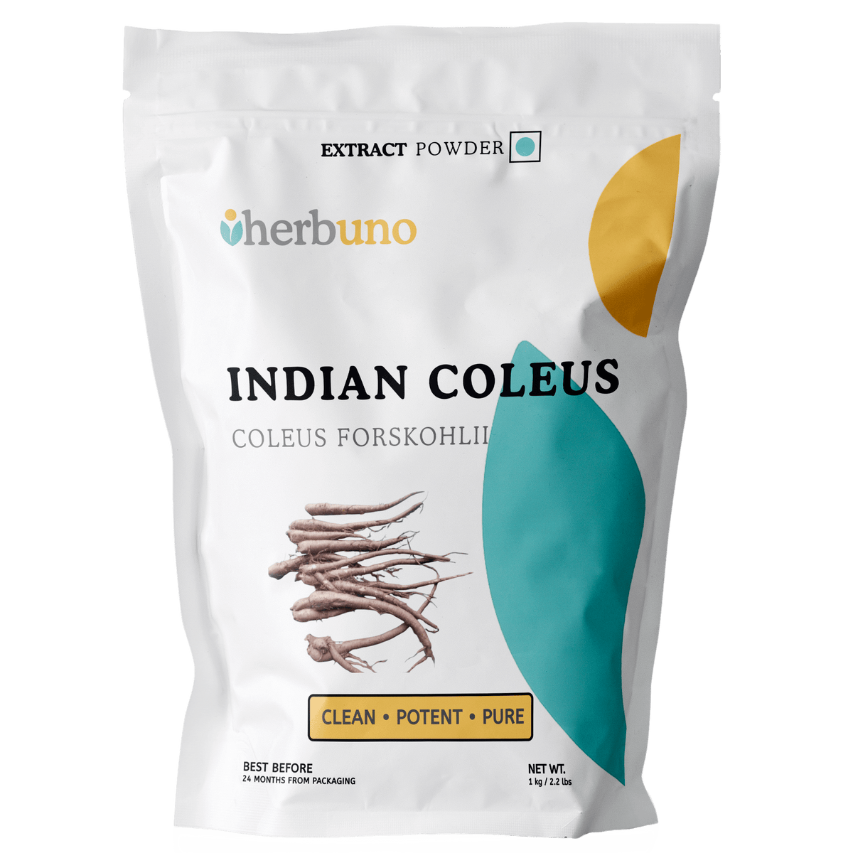 Organic Forskolin Extract Powder - Coleus forskohlii | Makandi Powder - Bulk Supplier India