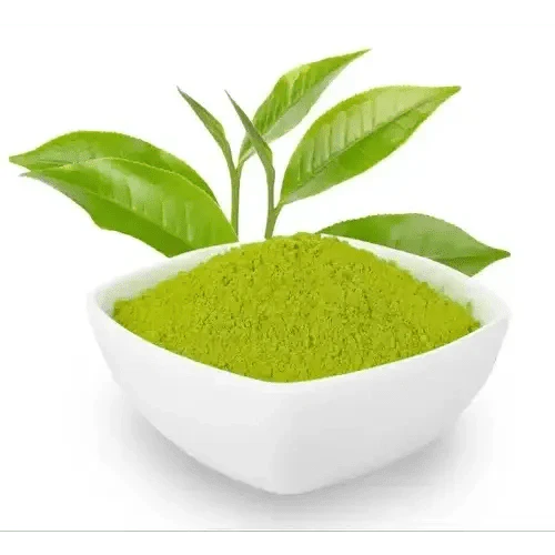Green Tea Liquid Extract (Water Soluble) - Camellia sinensis  - Bulk Supplier India  - shop_name