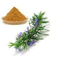 Organic Rosemary (Rosmarinus officinalis) Leaf Powder  - Bulk Supplier India  - shop_name