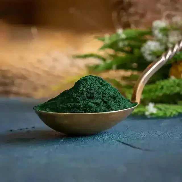 Organic Spirulina (Arthrospira platensis) Powder  - Bulk Supplier India  - shop_name