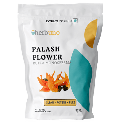 Palash Flower Extract Powder - Bulk Supplier India