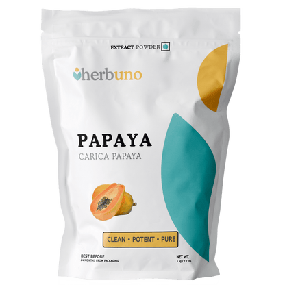 Papaya Fruit Extract Powder - Carica Papaya | Papita - Bulk Supplier India