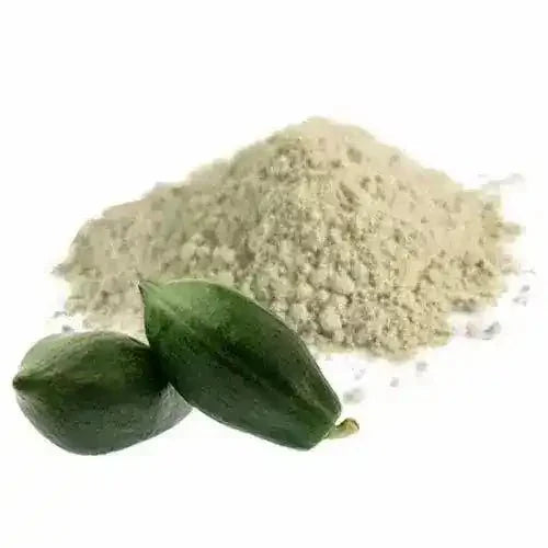Papaya Green Powder  - Bulk Supplier India  - shop_name
