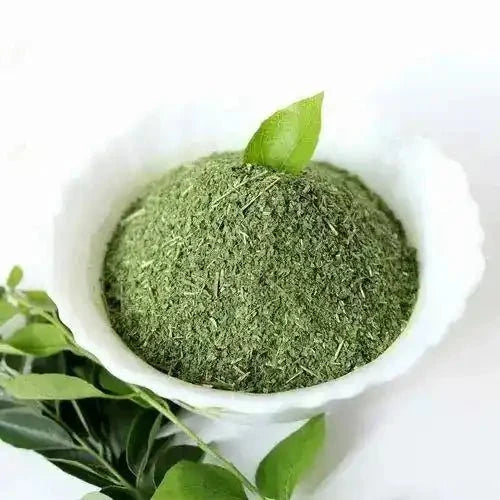 Papaya Leaf Extract Powder | Papita - Bulk Supplier India