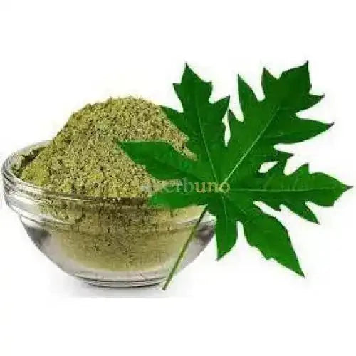 Organic Papaya Leaf Powder - Carica papaya  - Bulk Supplier India  - shop_name