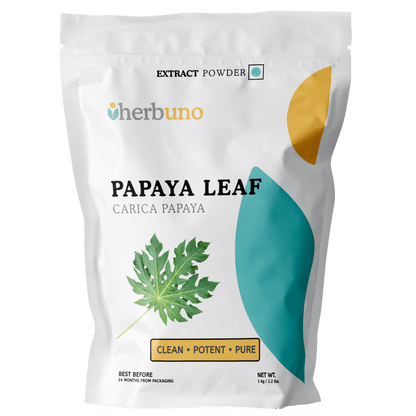 Papaya Leaf Extract Powder | Papita - Bulk Supplier India