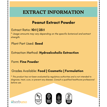 Peanut Extract Powder - Arachis hypogaea - Bulk Supplier India