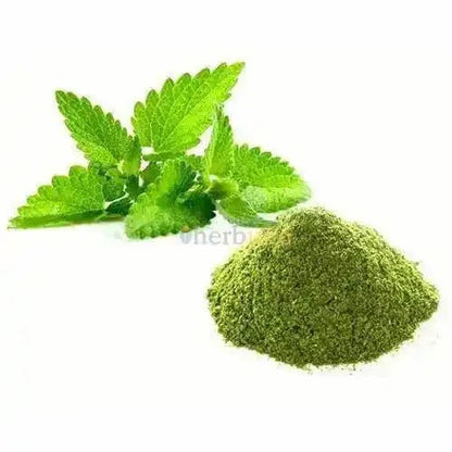 Peppermint Extract Powder  - Bulk Supplier India  - shop_name
