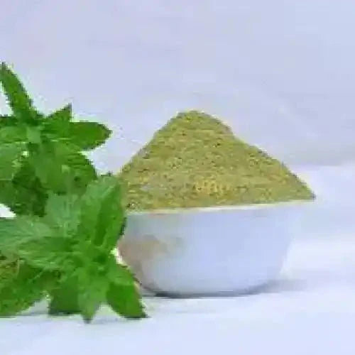 Peppermint Extract Powder  - Bulk Supplier India  - shop_name