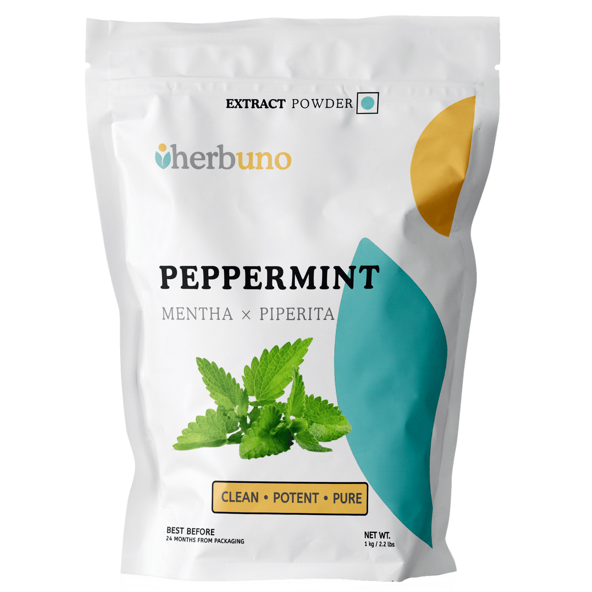 Peppermint Extract Powder | Pudina - Bulk Supplier India