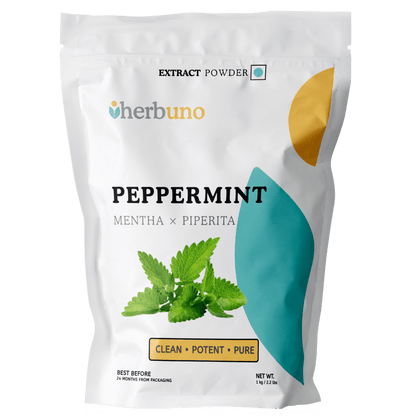 Peppermint Extract Powder | Pudina - Bulk Supplier India