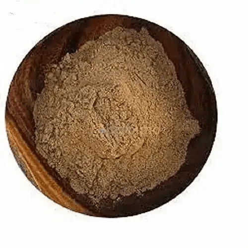 Picrorhiza Kurroa (Kutki) Extract Powder  - Bulk Supplier India  - shop_name