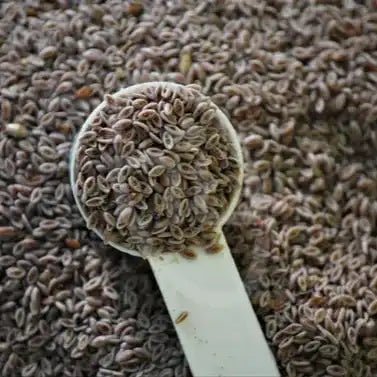 Psyllium (Ispaghula) Seed Husk Powder | Isabgol - Bulk Supplier India