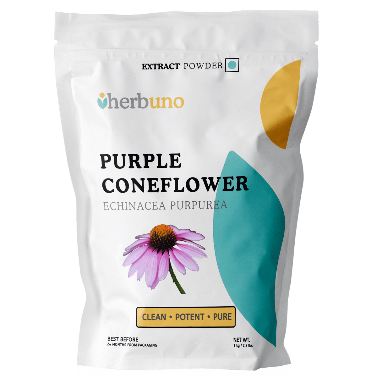 Purple Coneflower Extract Powder - Echinacea purpurea - Bulk Supplier India
