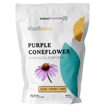 Purple Coneflower Extract Powder - Echinacea purpurea - Bulk Supplier India
