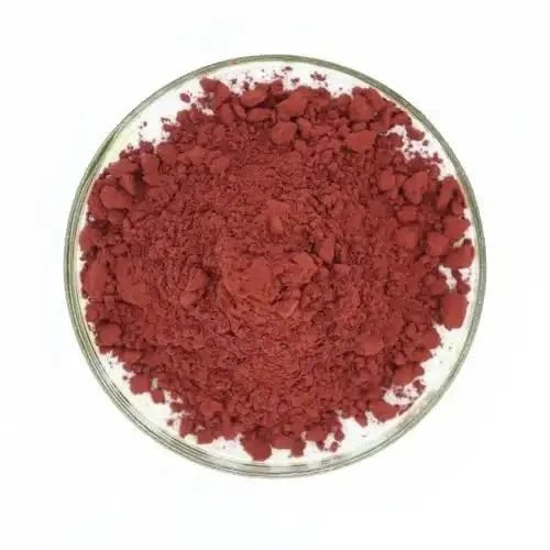 Red Yeast Rice (RYR) Extract Powder - Bulk Supplier India