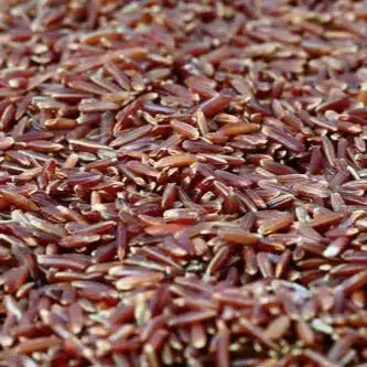 Red Yeast Rice (RYR) Extract Powder - Bulk Supplier India