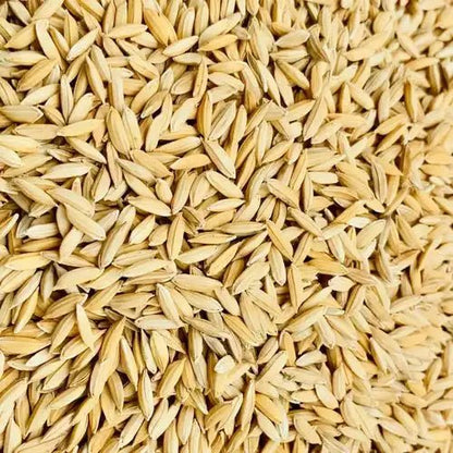 Rice Bran Extract Powder | Chawal Choker Powder - Bulk Supplier India