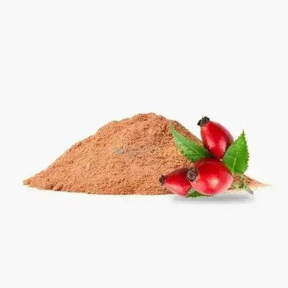 Rosa Canina (Rose Hip) Extract Powder - Bulk Supplier India