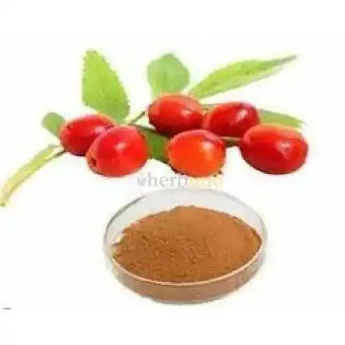 Rosa Canina (Rose Hip) Extract Powder - Bulk Supplier India