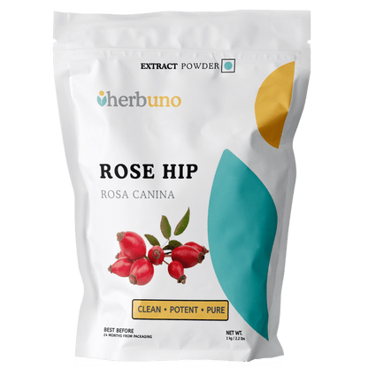 Rosa Canina (Rose Hip) Extract Powder - Bulk Supplier India