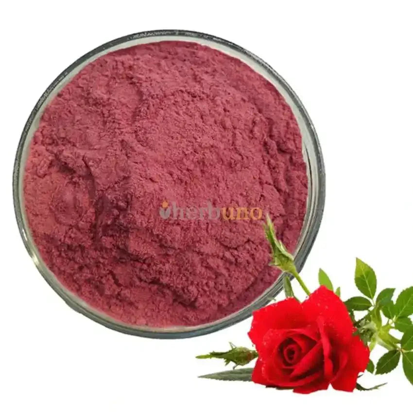 Rose Petal Extract Powder  - Bulk Supplier India  - shop_name