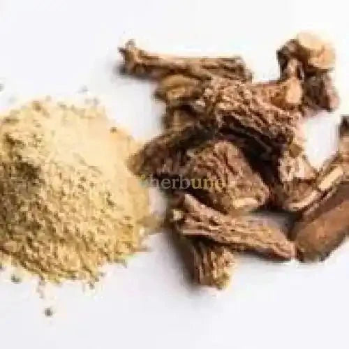 Sarsaparilla Extract Powder - Hemidesmus Indicus - Bulk Supplier India