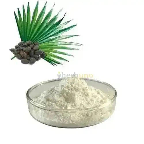 Saw Palmetto Extract Powder - Bulk Supplier India