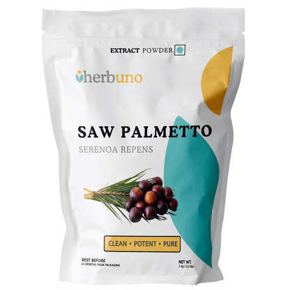 Saw Palmetto Extract Powder - Bulk Supplier India