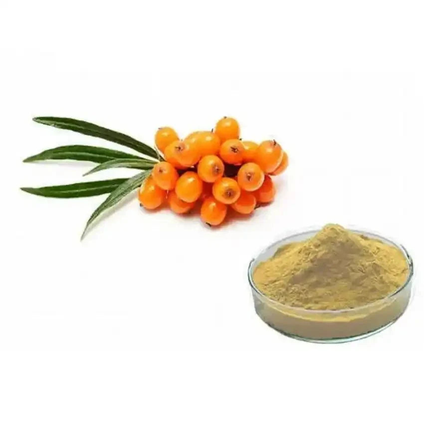 Sea Buckthorn Extract Powder - Bulk Supplier India