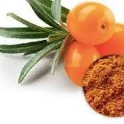 Sea Buckthorn Extract Powder - Bulk Supplier India
