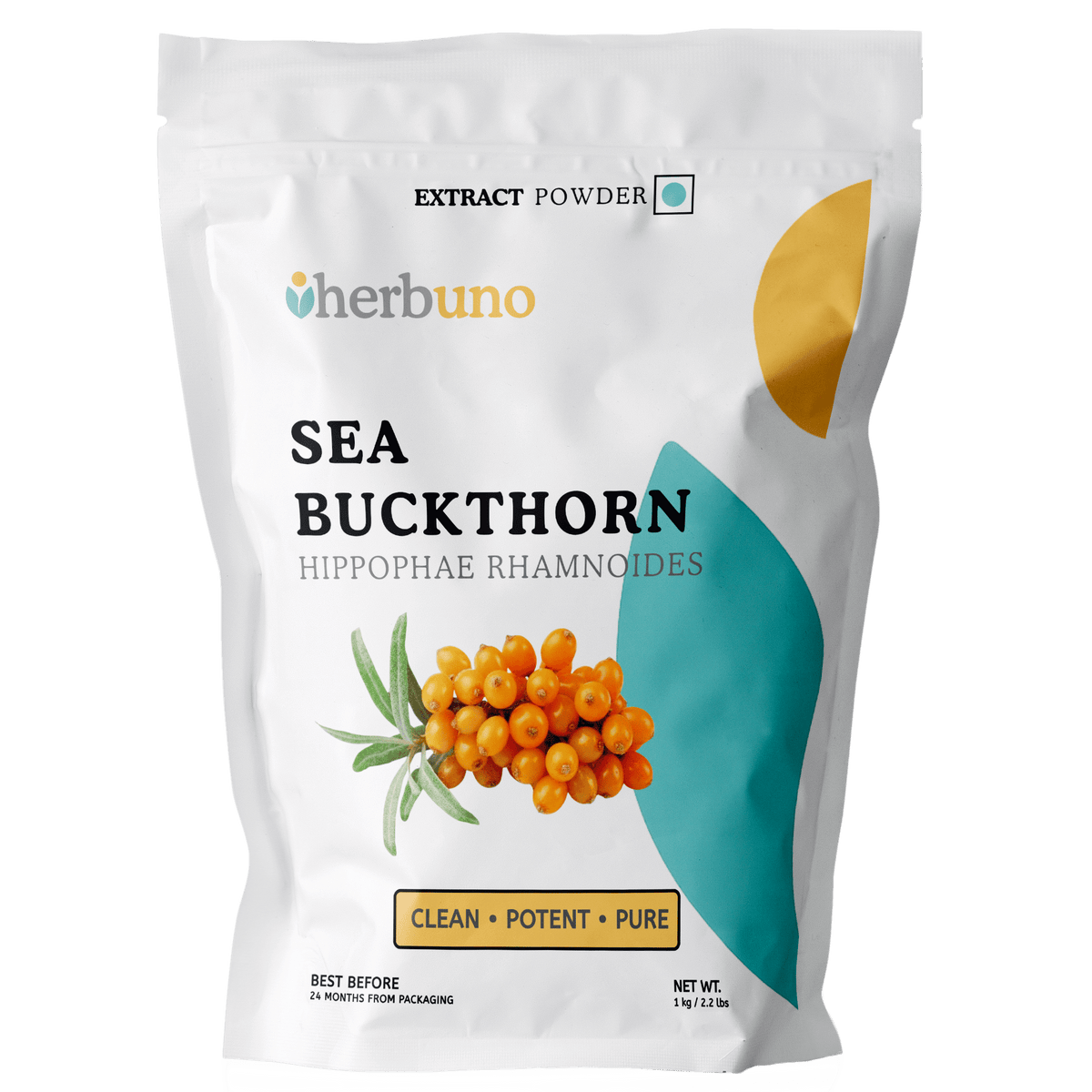 Sea Buckthorn Extract Powder - Bulk Supplier India