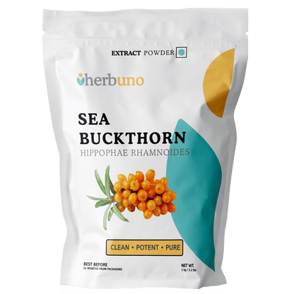 Sea Buckthorn Extract Powder - Bulk Supplier India