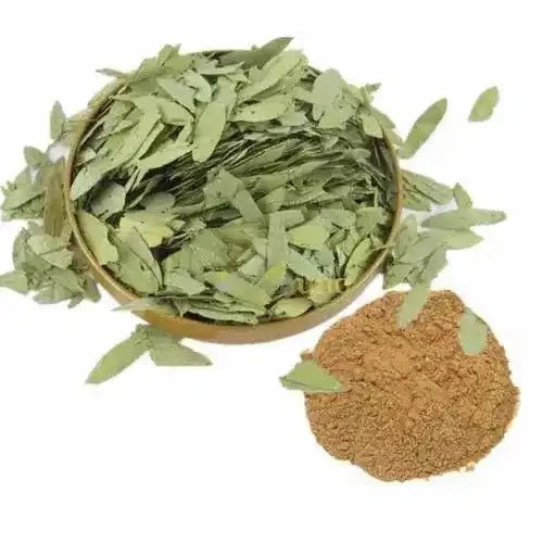 Senna Extract Powder | Sonamukhi - Bulk Supplier India