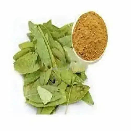 Organic Senna Leaf Powder - Senna alexandrina  - Bulk Supplier India  - shop_name