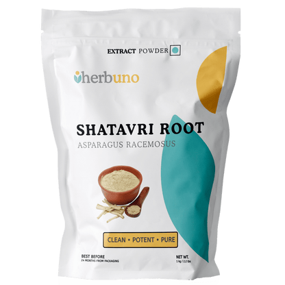 Shatavari Extract Powder - Bulk Supplier India