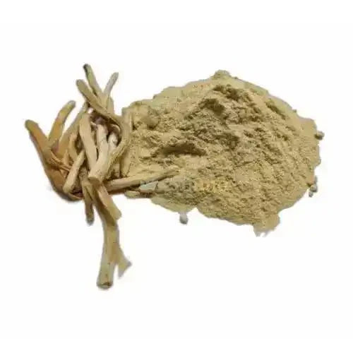 Shatavari Powder  - Bulk Supplier India  - shop_name
