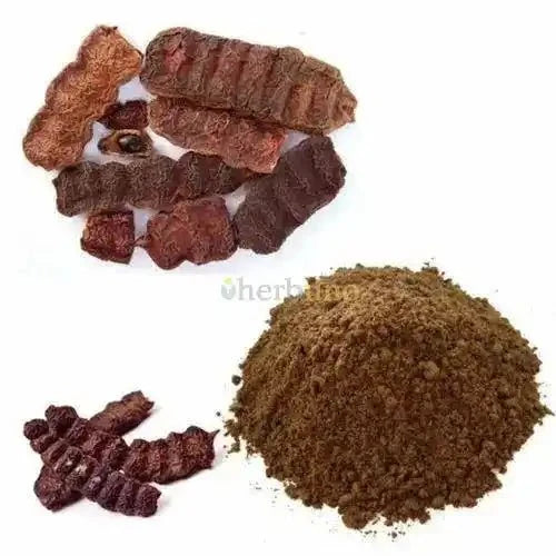 Shikhakai Extract Powder - Bulk Supplier India