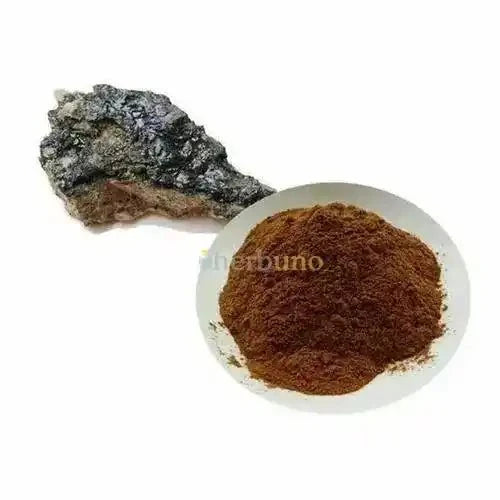 Shilajit Extract Powder | Shilajatu - Bulk Supplier India