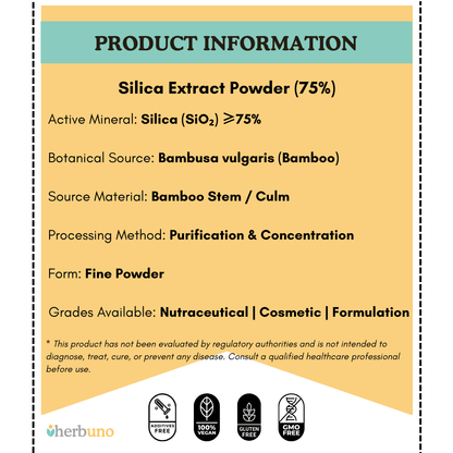 Silica (75%) — from Bamboo - Bulk Supplier India