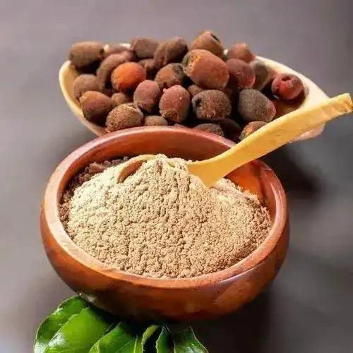Soapnut Extract Powder  - Bulk Supplier India  - shop_name