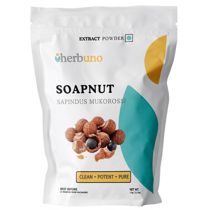 Soapnut Extract Powder | Reetha Powder - Bulk Supplier India