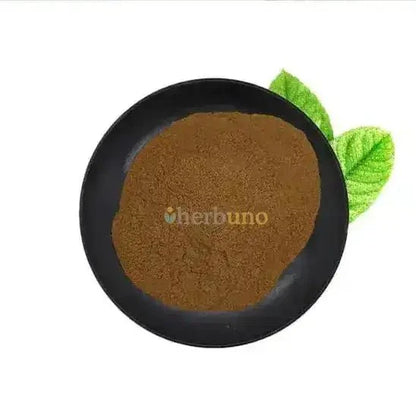 Solanum nigrum (Makoi / Black Nightshade) Extract Powder - Bulk Supplier India