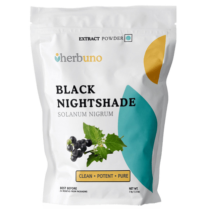 Solanum nigrum (Makoi / Black Nightshade) Extract Powder - Bulk Supplier India