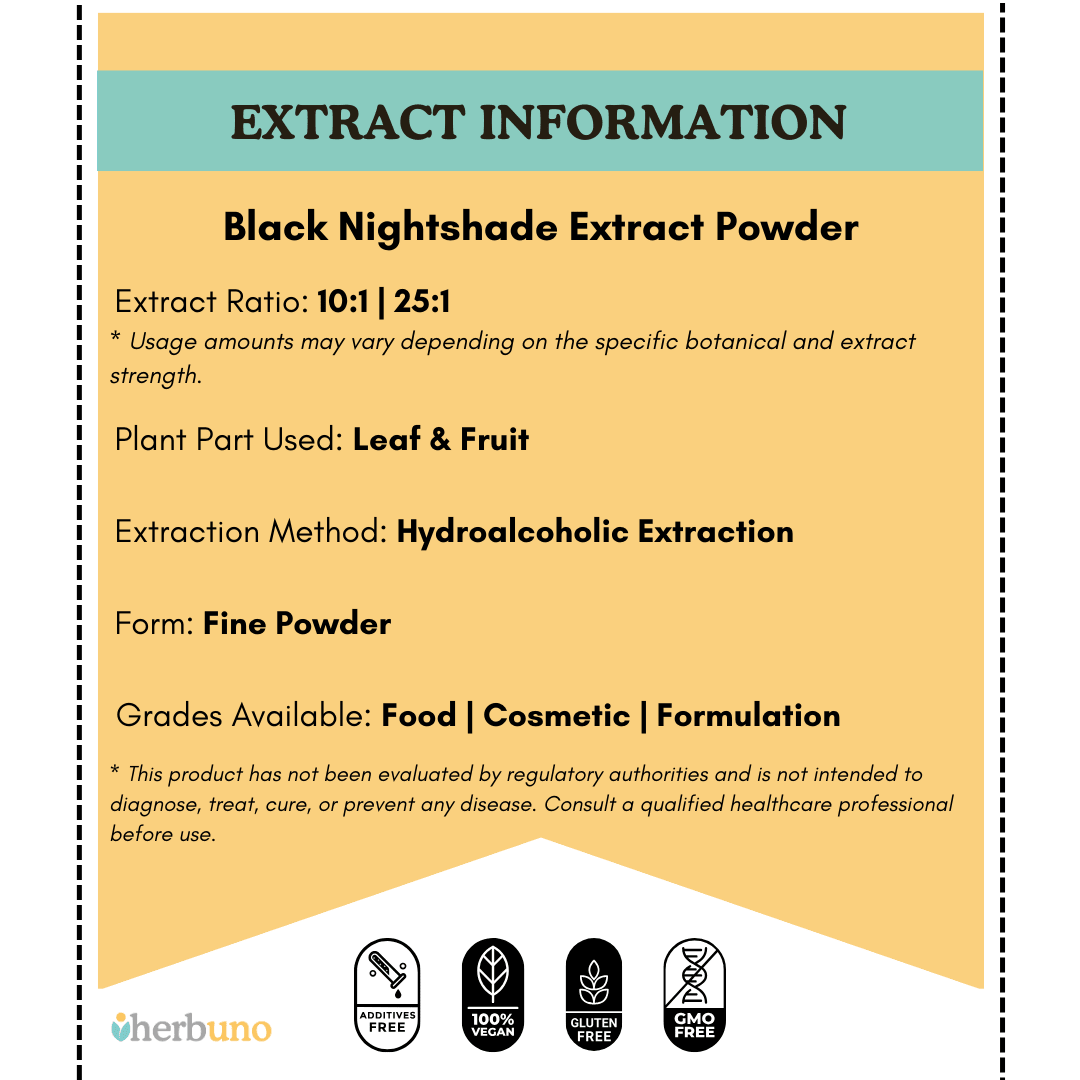Solanum nigrum (Makoi / Black Nightshade) Extract Powder - Bulk Supplier India