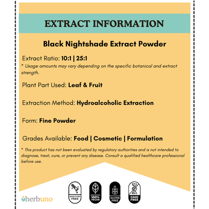 Solanum nigrum (Makoi / Black Nightshade) Extract Powder - Bulk Supplier India
