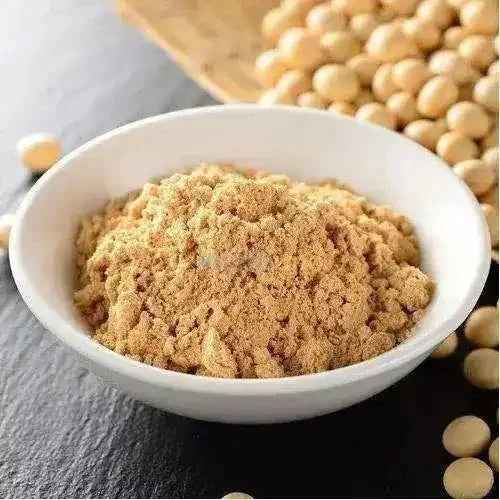 Soya Bean Extract Powder - High Protein - Bulk Supplier India